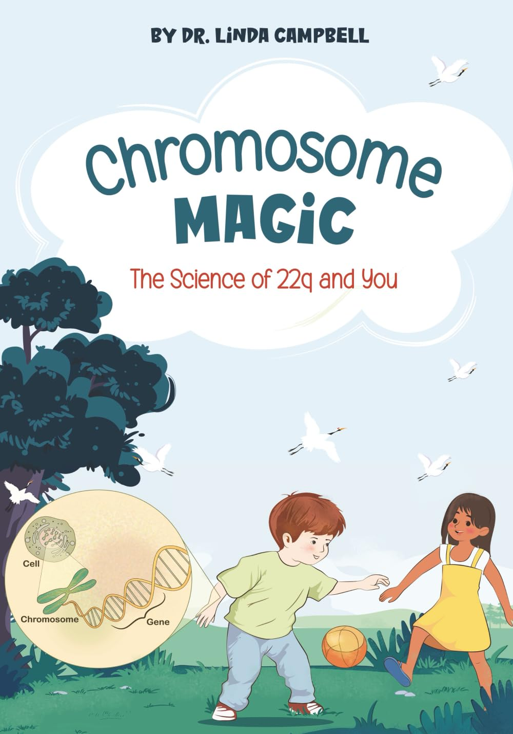 Chromosome Magic: the Science of 22Q and You