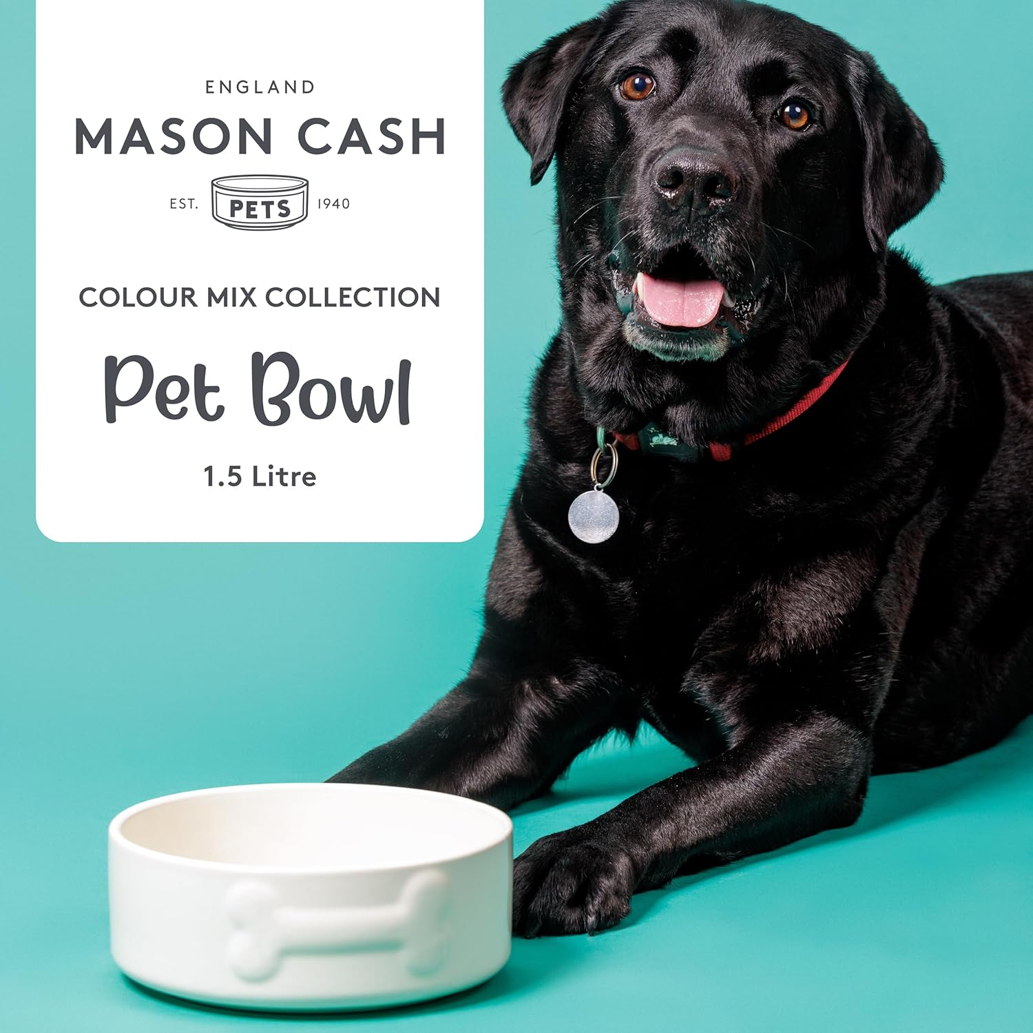 Mason Cash Ceramic Bowl for Dogs and Cats, 20 Cm, Cream