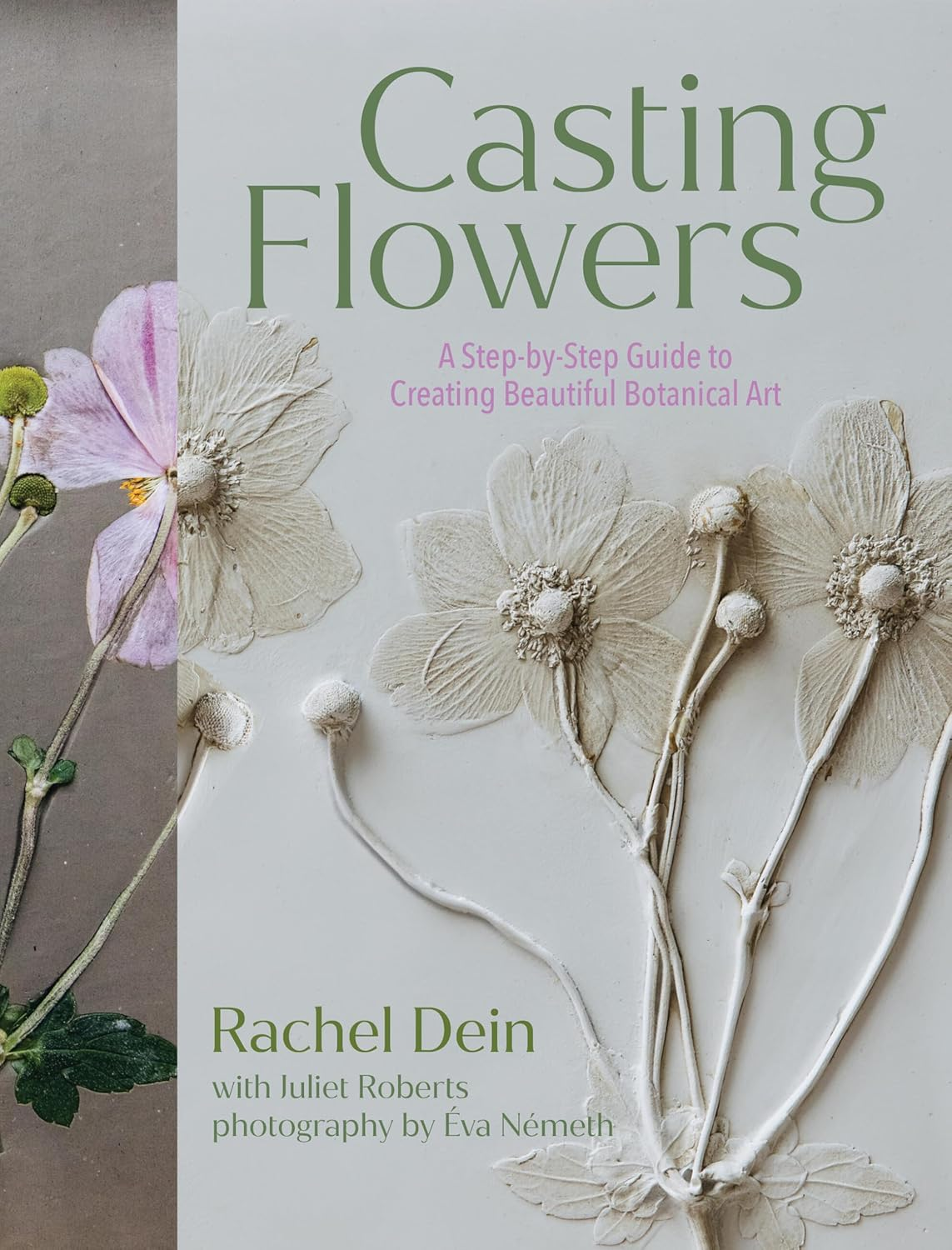 Casting Flowers: a Step-By-Step Guide to Creating Beautiful Botanical Art image number 2