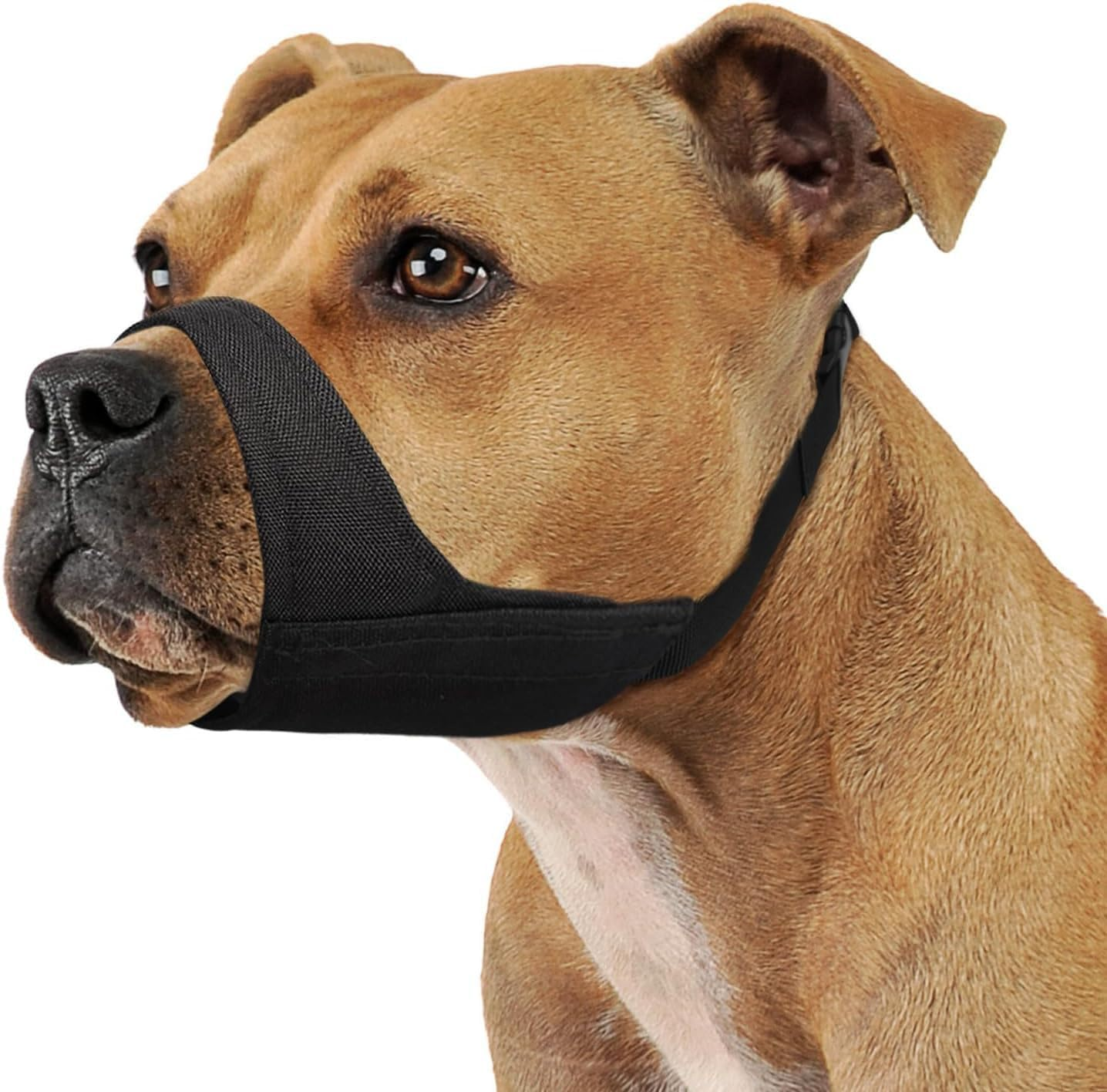 Short Snout Dog Muzzle, Small Muzzle for Chihuahua Shih Bully Boxer Puppy, Soft Fabric Muzzles for Grooming Vet Visits, Prevent Biting Chewing Fighting (Black, XL)