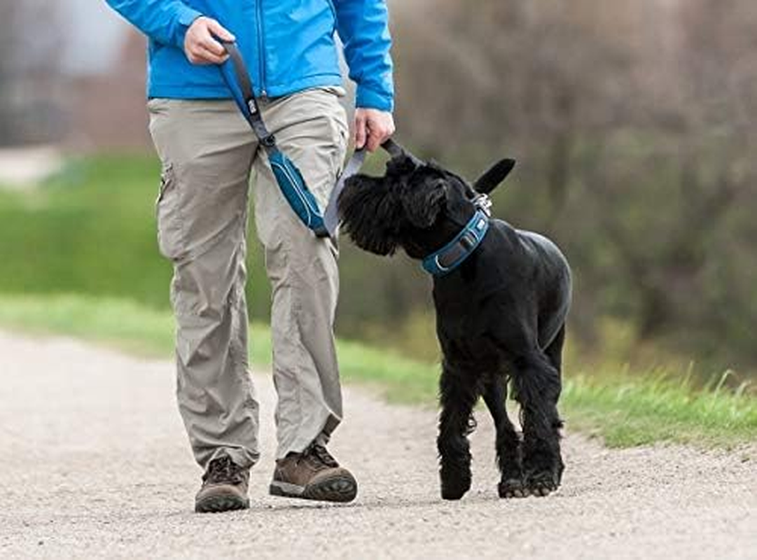 DOG Copenhagen Urban Trail Lead, Brown, Large image number 2