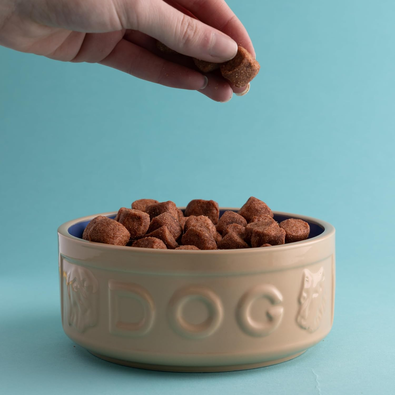 Mason Cash Lettered Dog Bowl Cane, 6-Inch image number 7