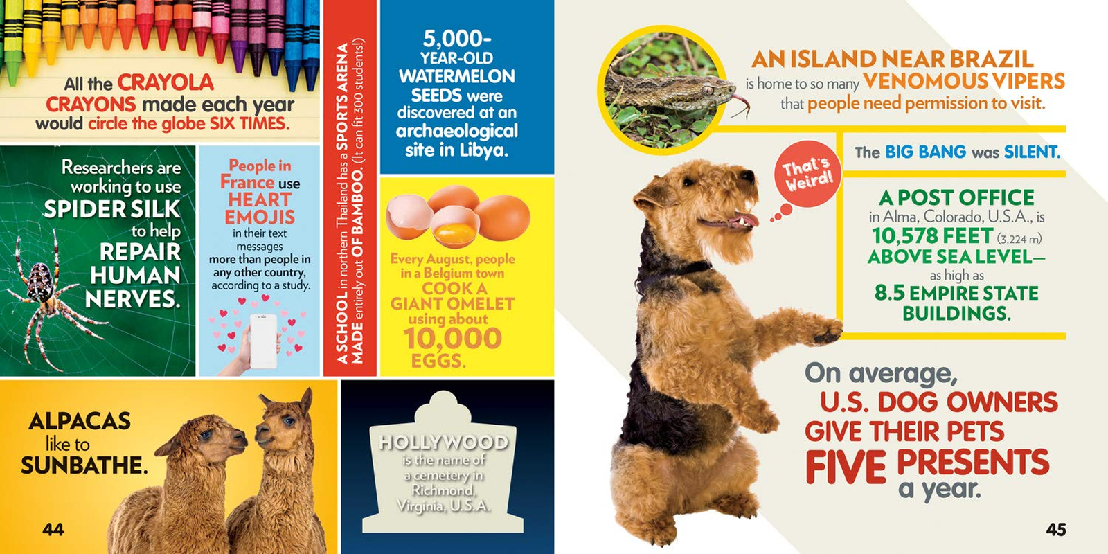 Weird but True! 1: Expanded Edition: 2 image number 1