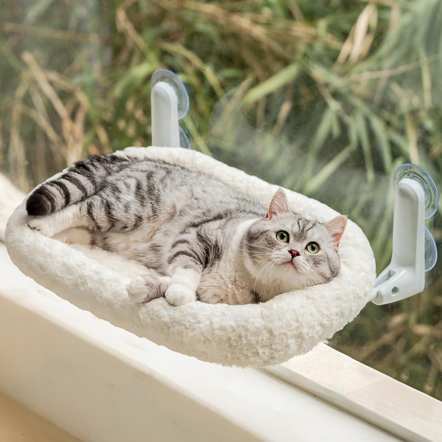 Cat Window Bed & Hammock Perch for Indoor Cats - Foldable Reversible Window Bed, Cat Window Hammock with Upgrade Strong Suction Cups, Sturdy Holds up to 18Kg (Purple, M)