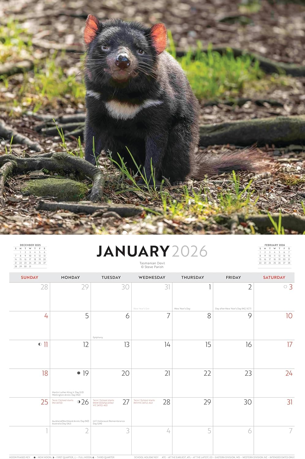 Australian Wildlife - Steve Parish 2026 Landscape Wall Calendar image number 2