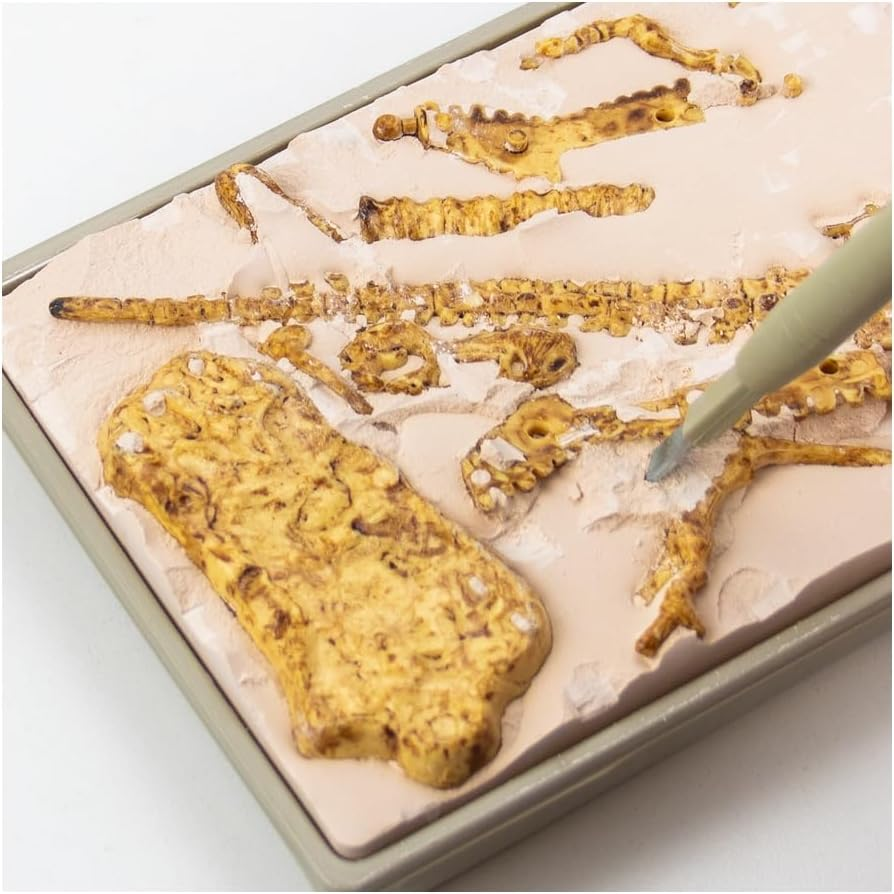 Science 4 You &ndash; T-Rex Fossil Excavation Kit for Kids Age 6+ &ndash; Dig up a T-Rex with 10-Piece Set, Excavation Tools & Online Educational Book &ndash; Dinosaur STEM Discovery Toy image number 1