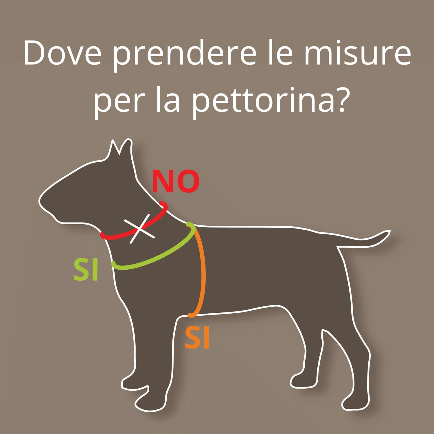 Coralpina - Powermix Harness for Small to Medium Dogs, Soft and Durable, Does Not Harm Hair or Hinder Movement, Yellow Melange, Size 6 image number 3