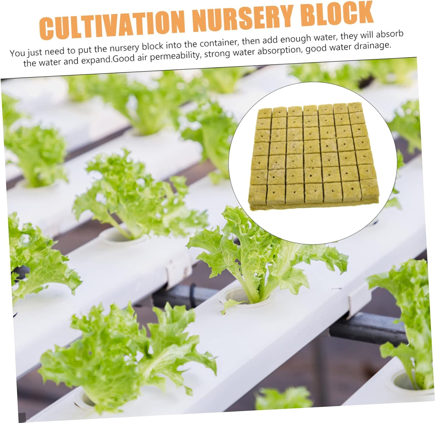 ROMISBABA Hydroponic Grow Medium Planting Cubes Plugs 98Pcs Substrate Blocks for Vegetable Flower Gardening image number 3