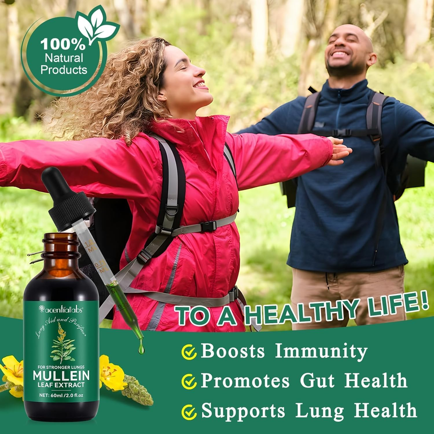 Organic Mullein Leaf Extract 60Ml | Natural Mullein Liquid Drops | Plant-Based, Vegan-Friendly Formula | Fast-Absorbing | Alcohol-Free & Non-Gmo | Pack of 2 image number 2