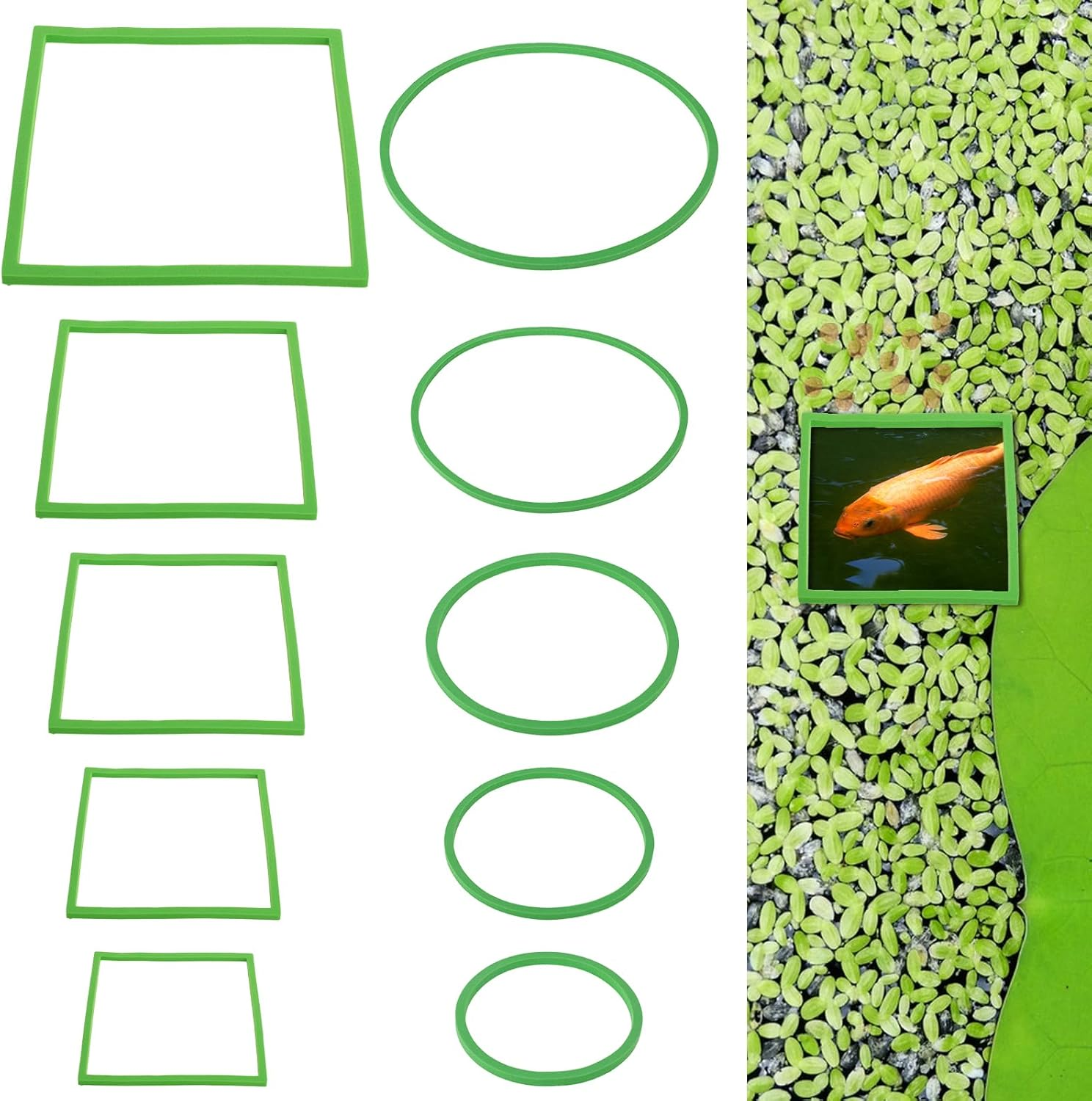 10 PCS Aquarium Floating Plant Corral, 5 Sizes round & Square Fish Feeding Rings Aquarium Plant Holder Turtle Betta Fish Tank Accessories, Reduces Automatic Fish Feeder Waste, Maintains Water Quality image number 2