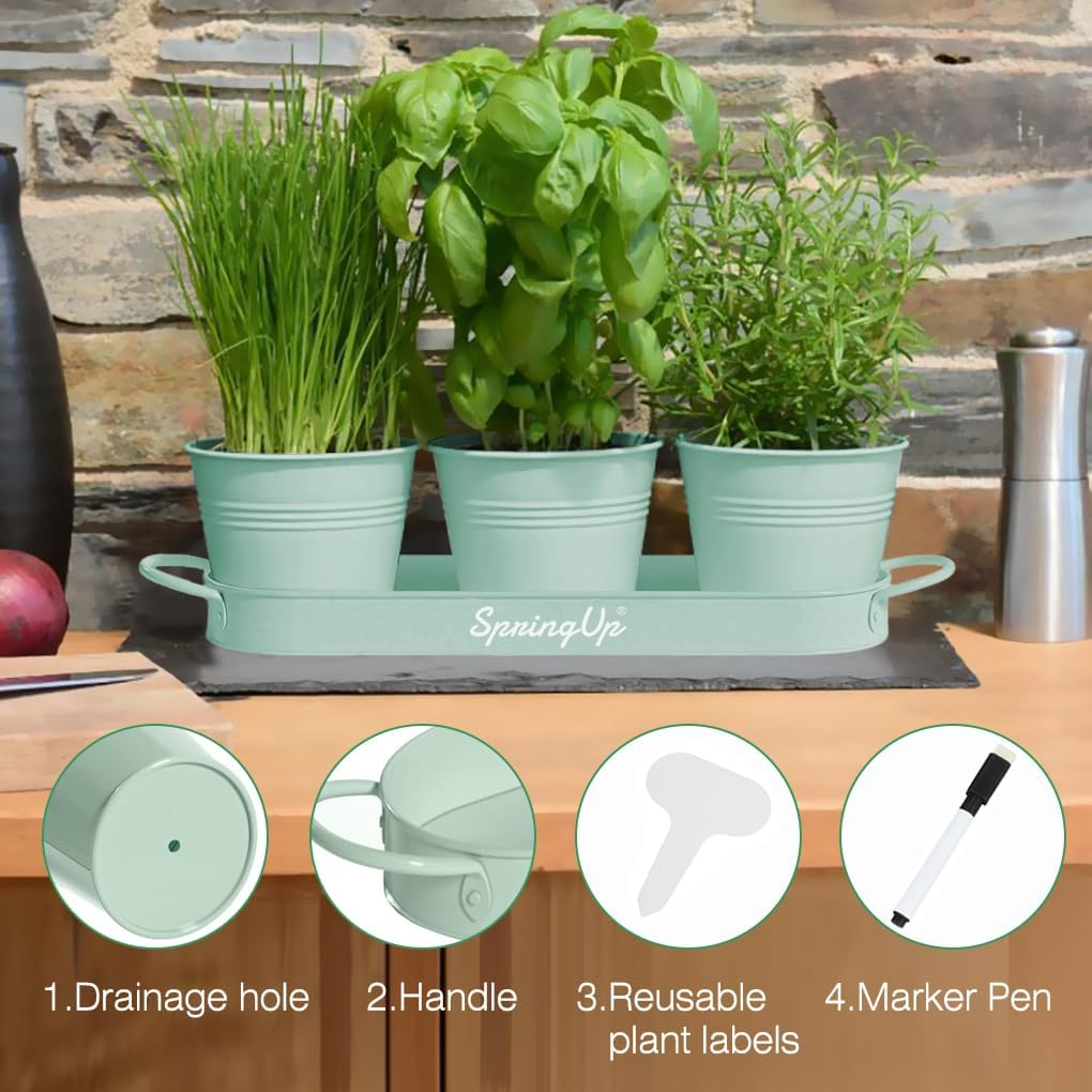 Springup 3 Pack Indoor Herb Garden Planter Set with Tray, Metal Farmhouse Windowsill Plant Pots with Drainage for Outdoor or Indoor Plants (Soft Mint) image number 2