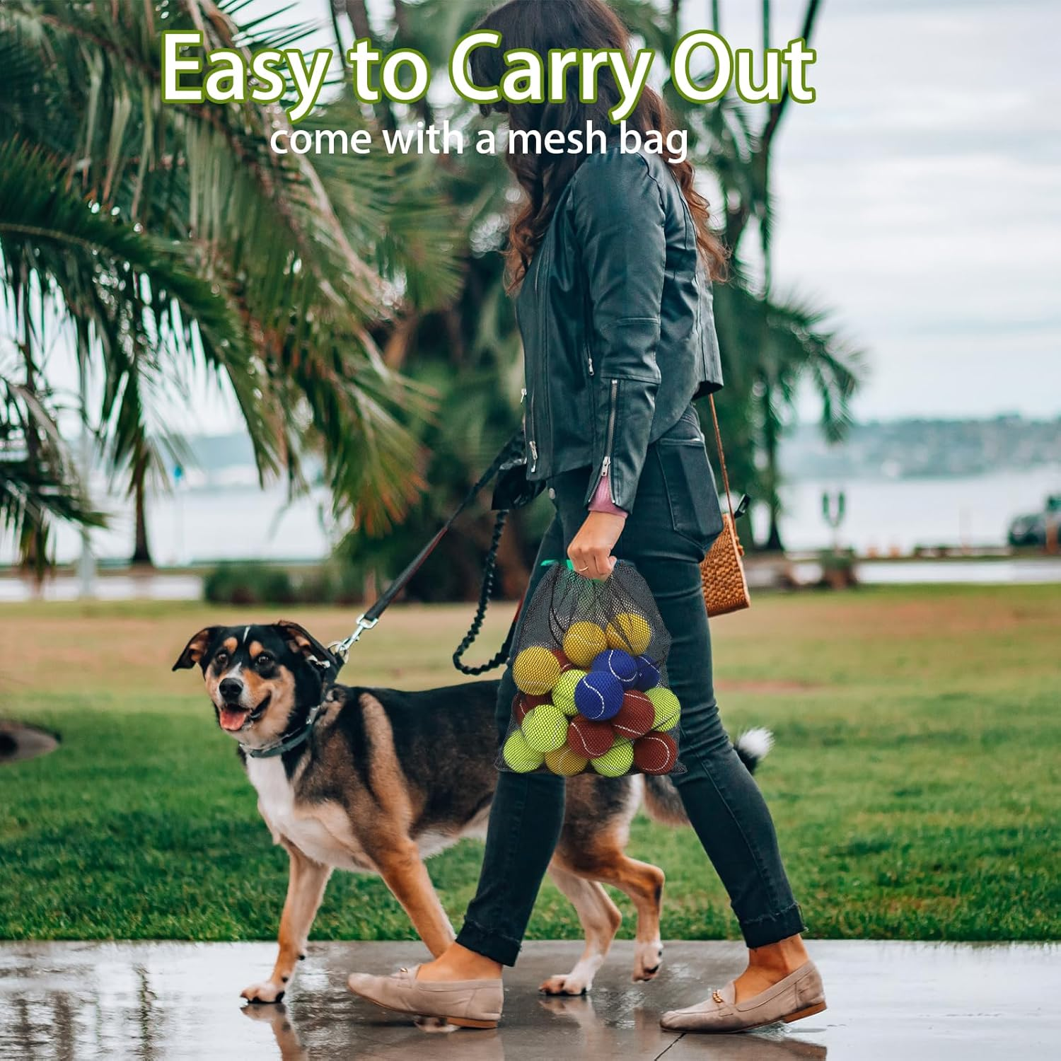 Magicorange Dog Tennis Balls, 20 Pack 2.5 Inch Floatable Squeaky Tennis Balls for Fetch Exercise, Natural Rubber Squeaky Dog Balls Training Safe (Multicolor, 2.5Inch) image number 2