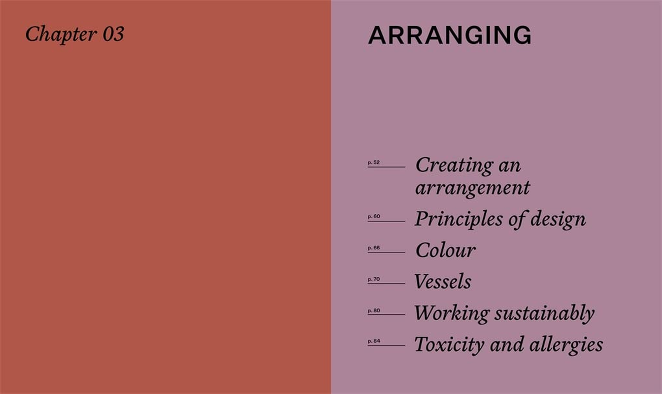 Bush Flowers: Australian Flowers and Foliage for Decoration and Design image number 2