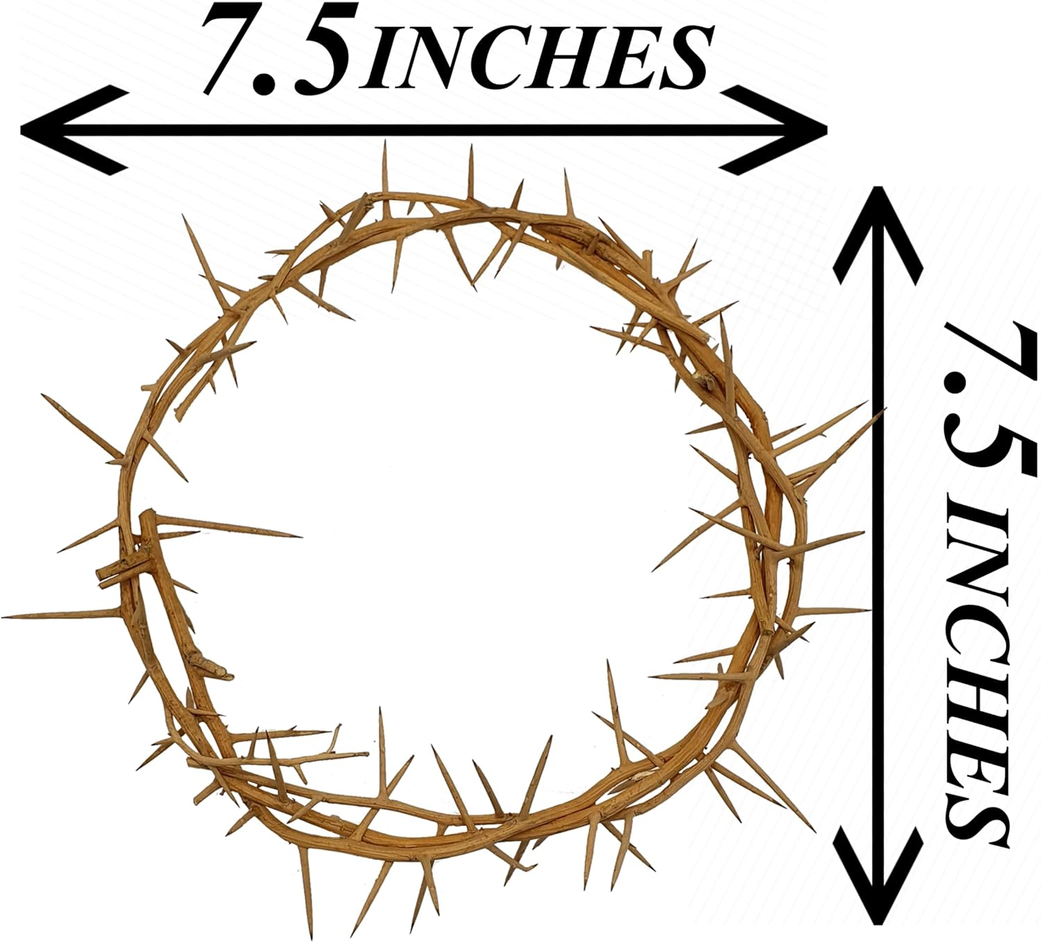 Jerusalem Authentic Biblical Lifesize Real Crown of Thorns with Box & Zuluf Certificate | Religious Easter Wreath Home D&eacute;cor Tree Topper | Jesus Christ Wall Decor Christmas Christian Gifts| HLG214