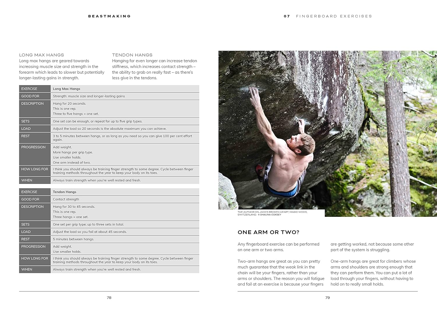Beastmaking: a Fingers-First Approach to Becoming a Better Climber image number 4