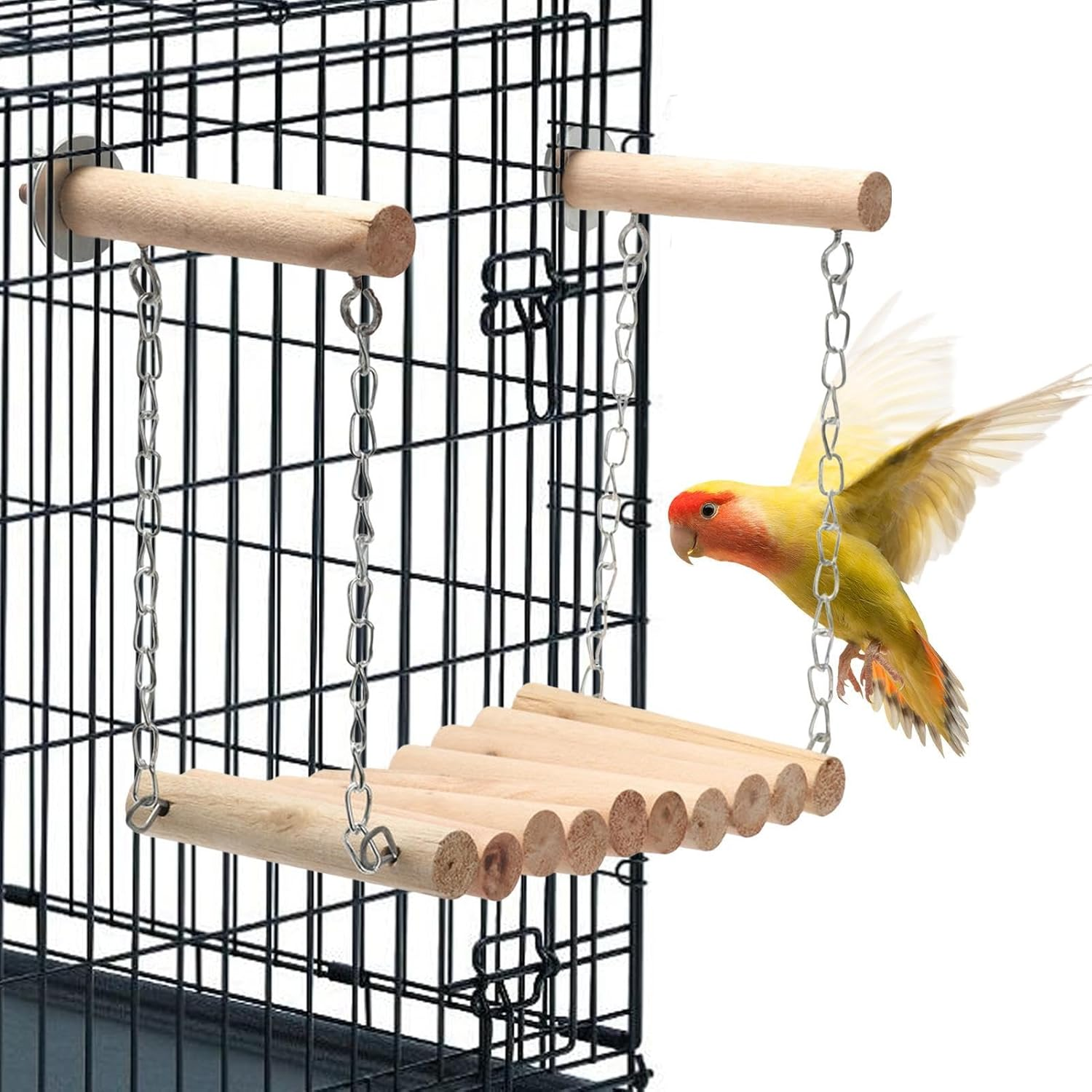 Bird Swings for Parakeets | Natural Wood Bird Perch Stand for Parrots | Swings for Small Birds, Stand Bird Toys, Cage Accessories for Parakeets, Cockatiels, Finches Pochy image number 5