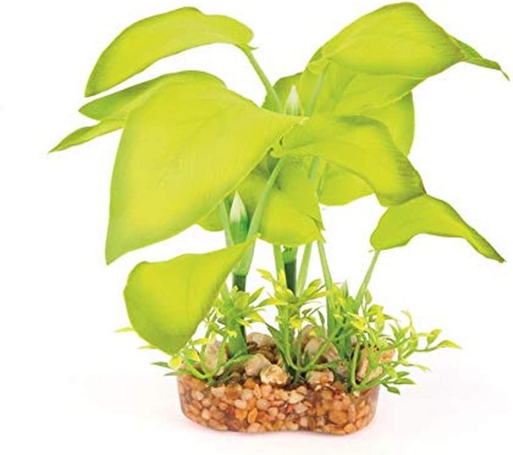 Kazoo Large Leaf Silk Plant, Medium, Green