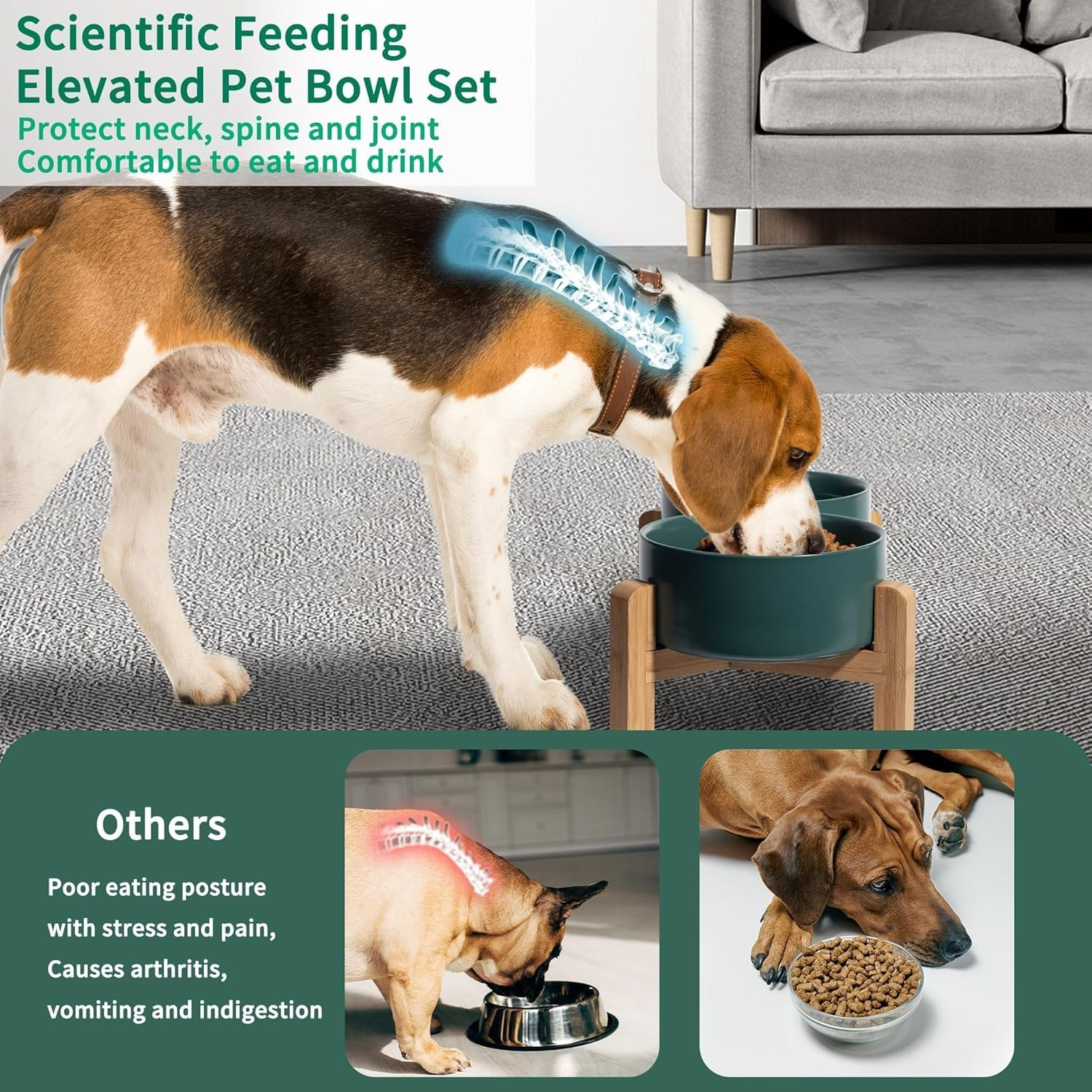 Elevated Ceramic Dog Bowl Set - PRENDIEEN Raised Dog Bowls with Non-Slip Bamboo Stand - Dog Food and Water Bowl- Double Dog Feeding Bowls - Suitable for Small and Medium Dogs - 28 OZ - 850 ML (Green) image number 4