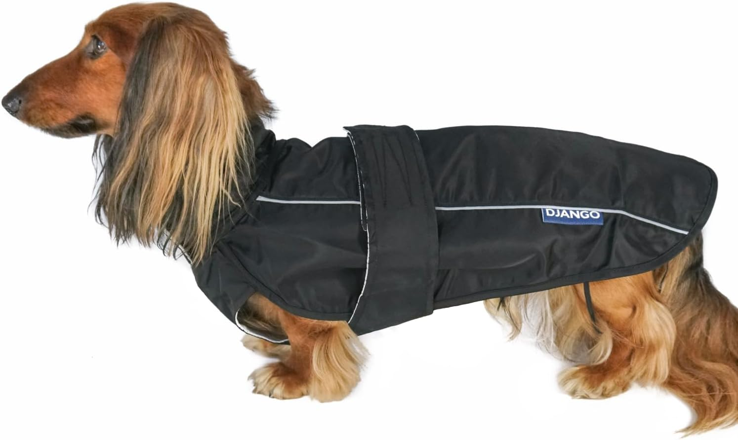 DJANGO City Slicker All-Weather Dog Jacket & Water-Repellent Raincoat with Reflective Piping (Small, Kombu Green)