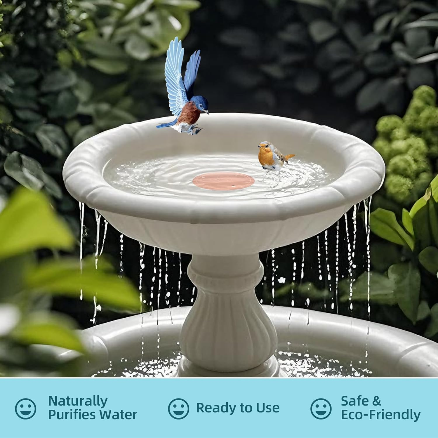 Bird Bath Copper Disk &ndash; 99.99% Pure Copper Water Cleaner, 1 Mm Thick with Stable Triple-Point Support, Safe Natural Solution for Outdoor Birdbaths Bowls, All-Season Use,Bird,1Pcs