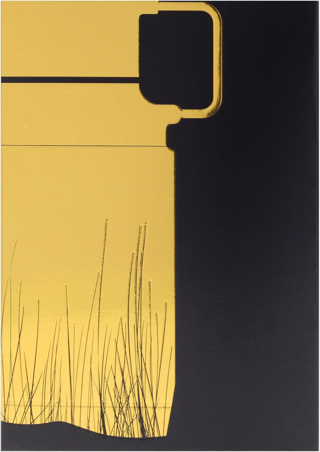 Odyssey - Wild One Gold Edition by Armaf for Men - 2.02 Oz EDP Spray