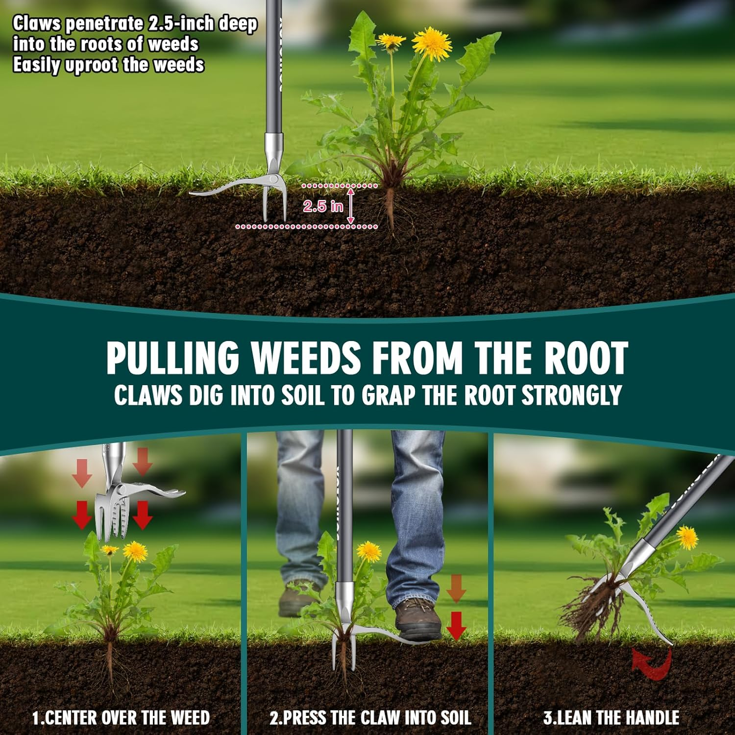 SOMOLUX 52'' Weed Puller Tool Stand-Up Weeder with Metal Long Handle/Stainless Steel Claw, Gardening Manual Tool Weed Gripper/Picker/Remover No Bending/Kneeling to Remove Dandelion Form Lawn Patio image number 3