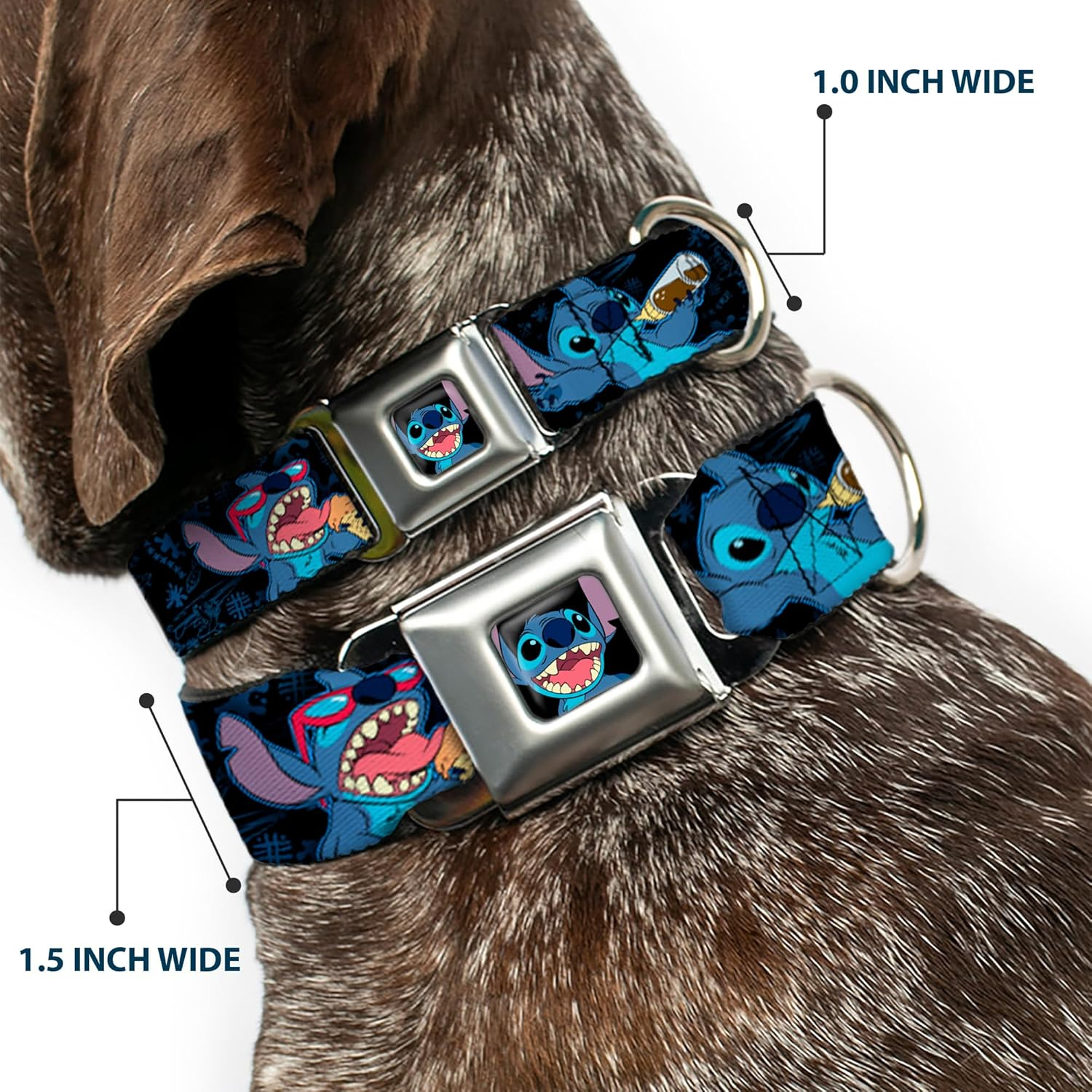 Buckle-Down Seatbelt Buckle Dog Collar - Stitch Snacking Poses Black/Blue - 1" Wide - Fits 15-26" Neck - Large image number 5