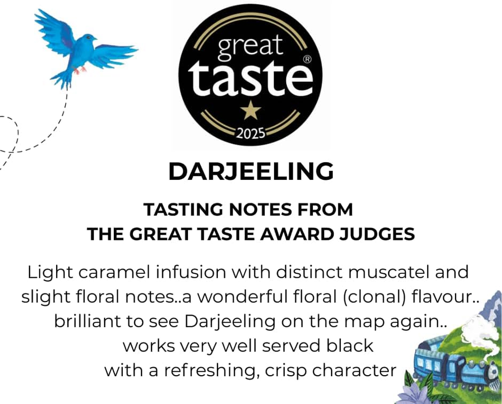 96&deg; Darjeeling Tea &ndash; 20 Pyramid Tea Bags, Delicate, Floral with a Hint of Muscatel Black Tea, Individually Wrapped Envelopes, Plant-Based Tea Bags with No Microplastics image number 1