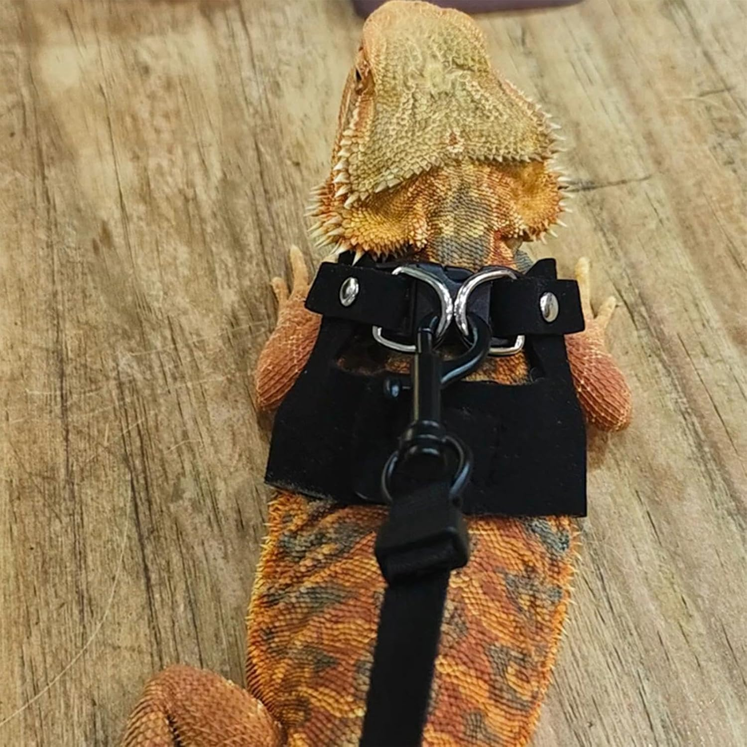3 Size Lizard Traction Rope,Bearded Dragon Harness and Leash Set,Adjustable Harness Soft Leather Leash Lizard Reptile Traction Rope Walking Vest Accessories for Bearded Dragon,Iguana,Gecko (Black)