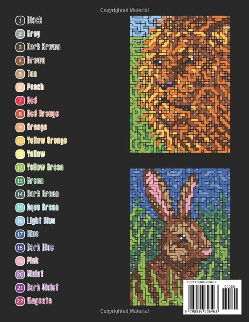 Lines Dots Quest Animals Color by Numbers for Adults: Color Quest Color by Number Coloring Book with Animals and Birds image number 1