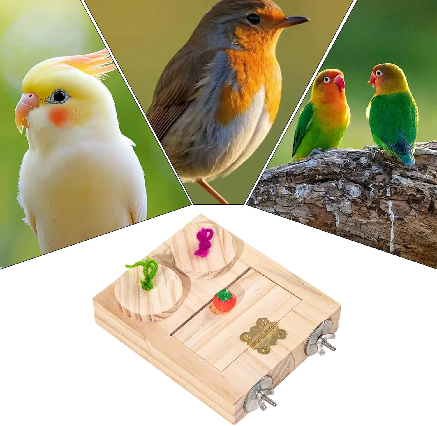 Parrot Foraging Toys | Wood Bird Enrichment Toys,Chewing Feeder Interactive Playground Safe Beak-Healthy for Beak Stimulation Flight Exercise Cage Enrichment Travel
