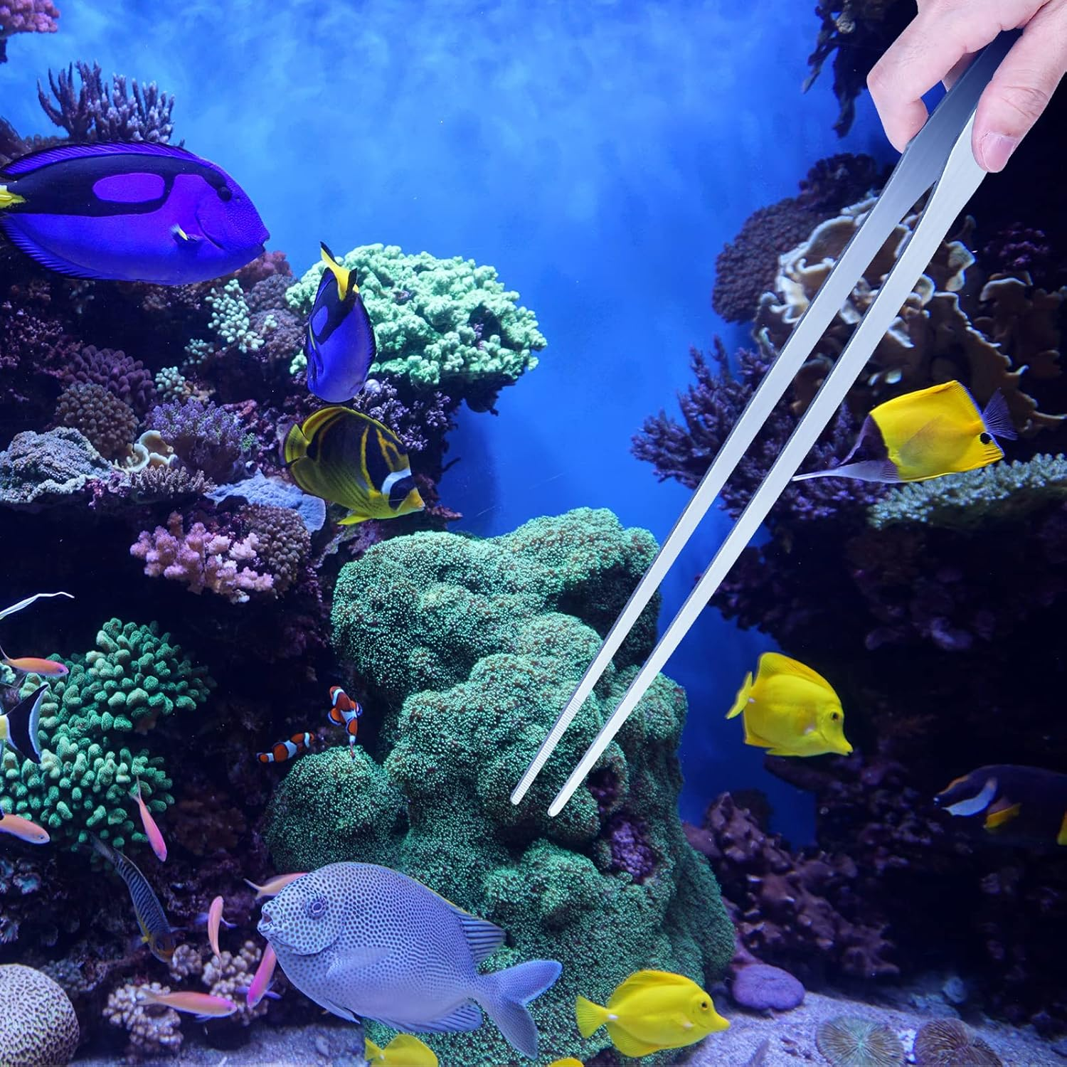 Vaincre 2PCS Long Tweezers, 15 Inch Curved Aquascaping Tools, Stainless Steel Feeding Tongs Aquascape Tools, Aquarium Tweezers for Aquarium Reptile, Plant, Snakes, Lizards, Coral Feeder