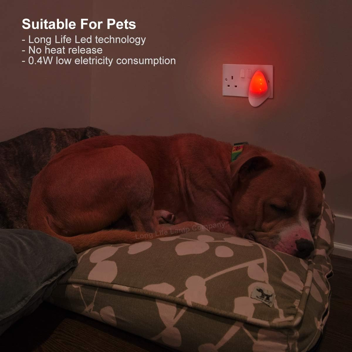 Red Automatic LED Night Light - Plug in & Energy Saving Dusk 2 Dawn LED Night Light Sensitive Night Light image number 5