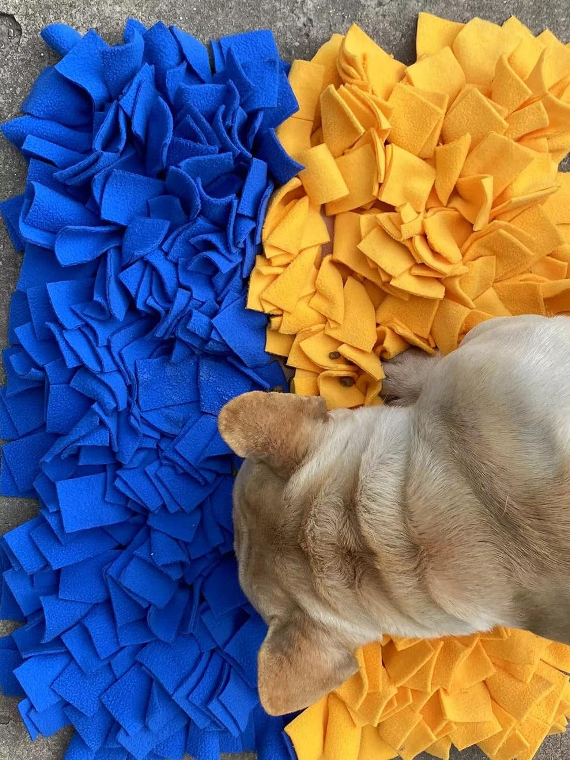 Thick Tough Slow Feeding Mat for Large Breed Dogs, 45X60Cm Blue and Yellow Color Sniffing Mat image number 2