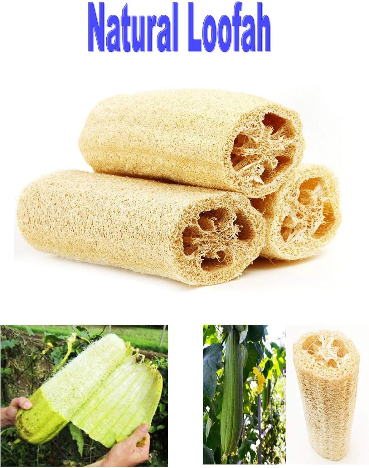 Evana Handcraft LOOFAH - Natural Body Scrubber Loufah Sponge (Pack of 3)