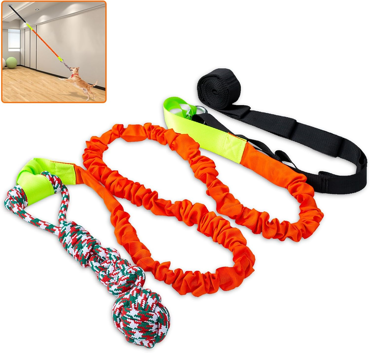 Spring Pole Dog Rope Toys Outdoor Dog Tug of War Toy for Pitbull Medium to Large Dogs Outdoor Bungee Hanging Exercise Ropes Muscle Builder Dogs Interactive Toys (Dog Rope Toys)