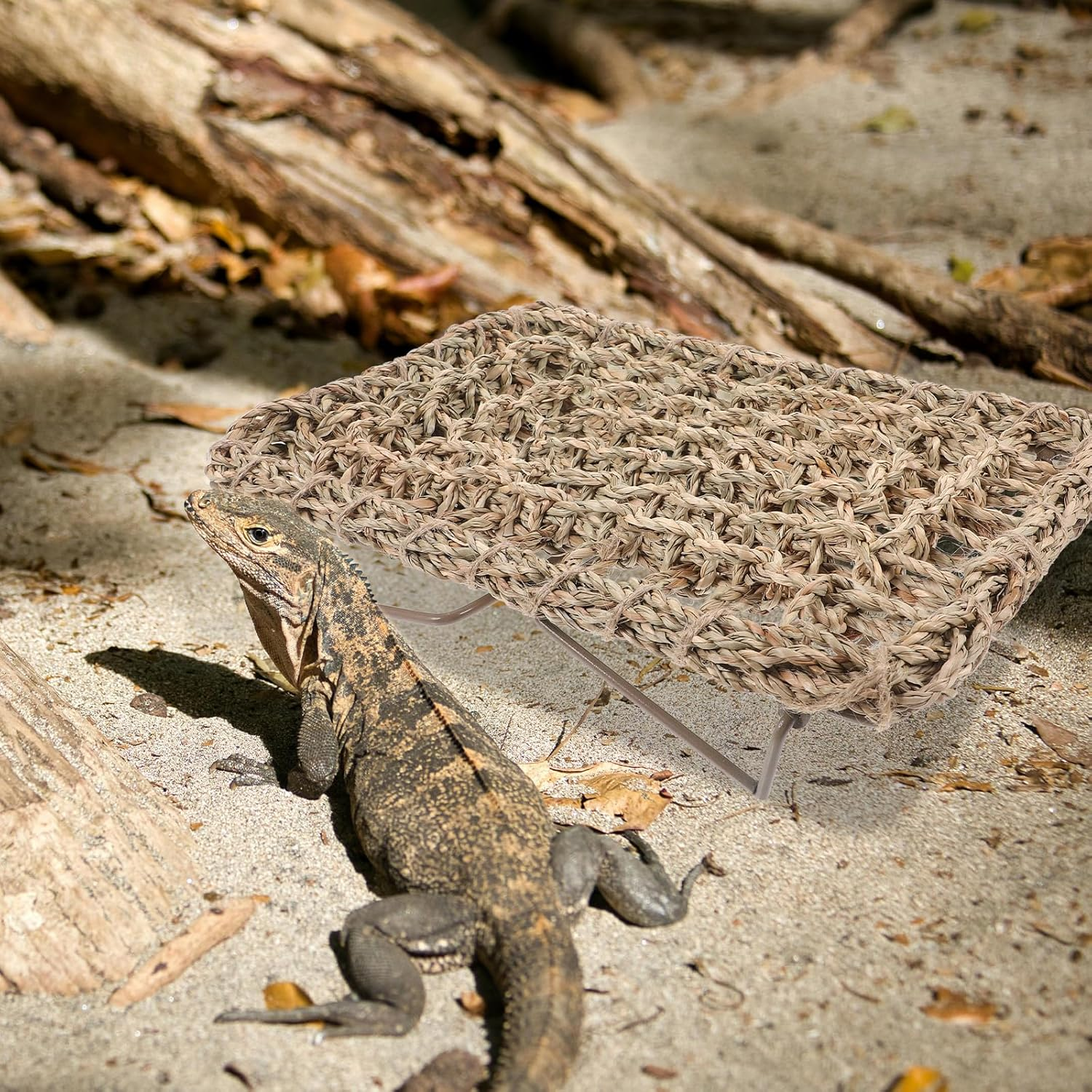 POPETPOP Lizard Lounger for Rest, Reptile Hammock Bed Seagrass Lounger Reptile Climbing Lounger Dragon Tank Accessories for Small Animals Guinea Pig Bearded Dragon