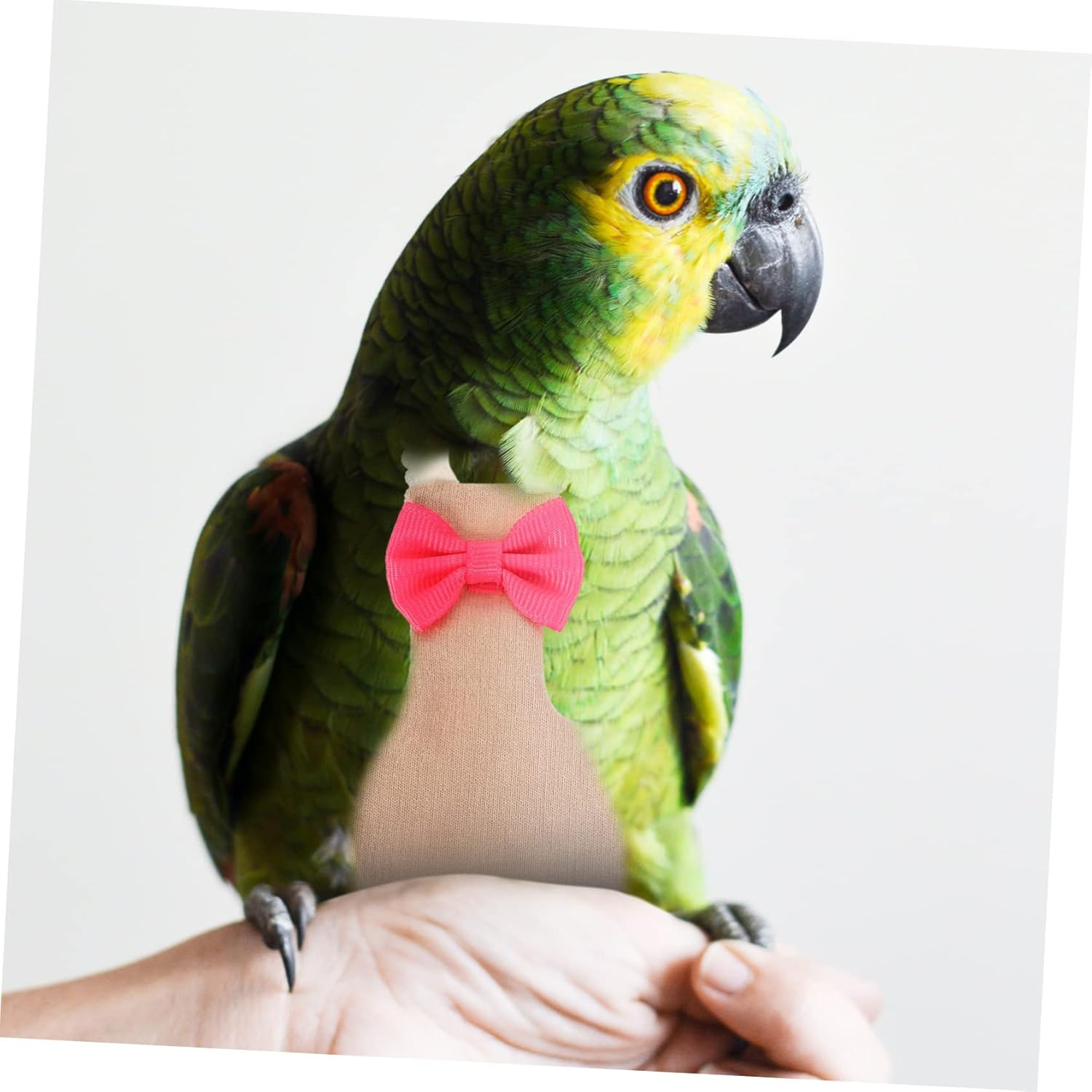 WOONEKY Flying Bird Diapers Bird Costume Parrot Nappies Flight Suit Bird Diaper Suit Parakeet Flight Bird Parrot Diaper Clothes Pigeon Diaper Long Tail Cotton Pigeon Supplies image number 5