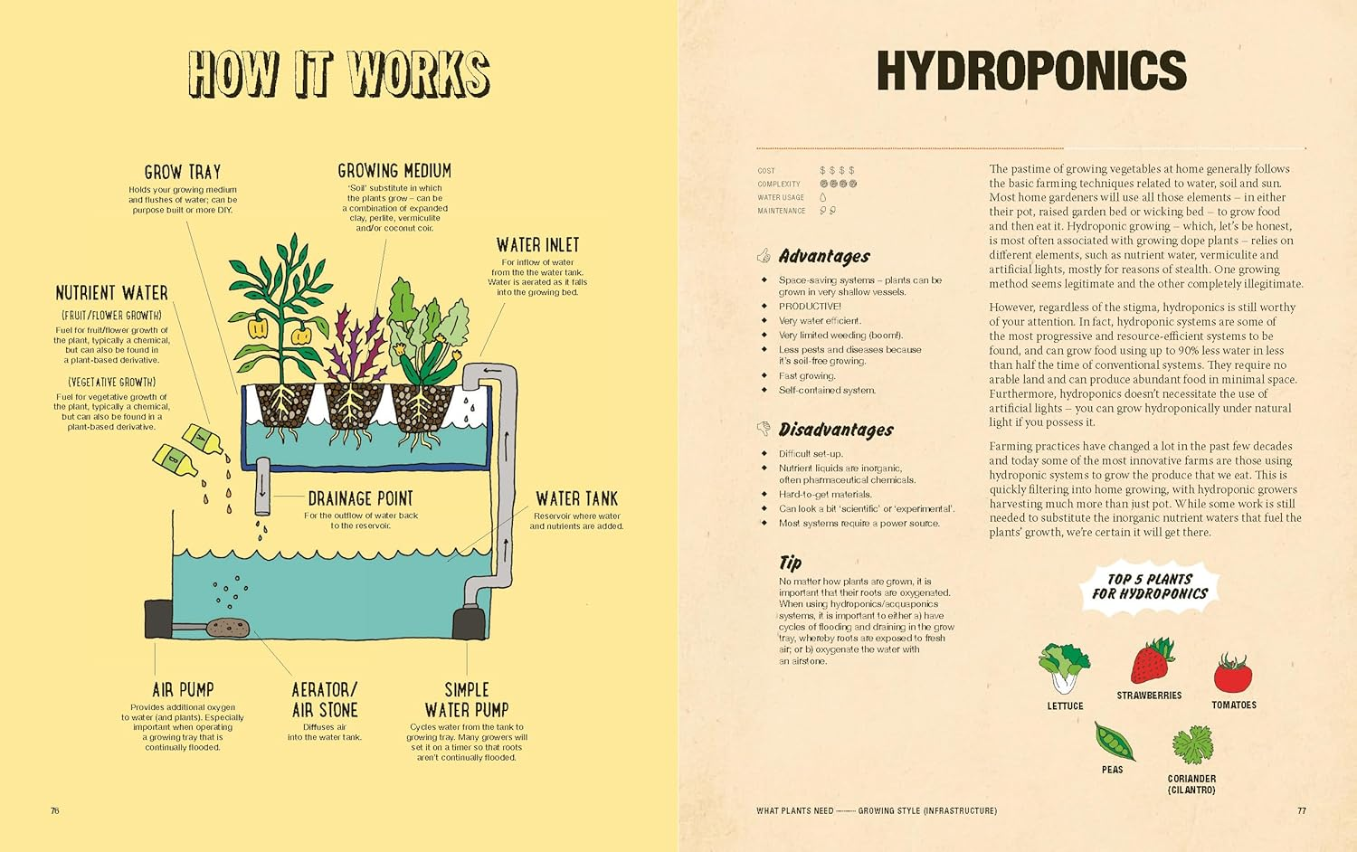 Grow Food Anywhere: the Essential Guide to Small-Space Gardening image number 2