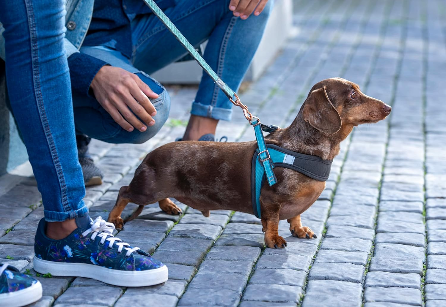 Rogz Classic Urban Dog Lead Turquoise Small