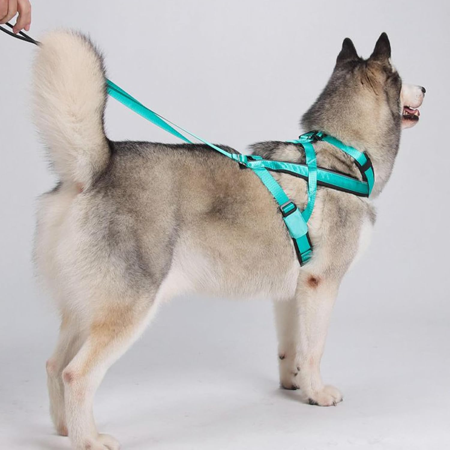Pulling Harness for Dogs | Reflective Big Dog Harness,Comfortable Adjustable Strap for Sled Training Walking Pulling Exercise Outdoor Activities image number 3