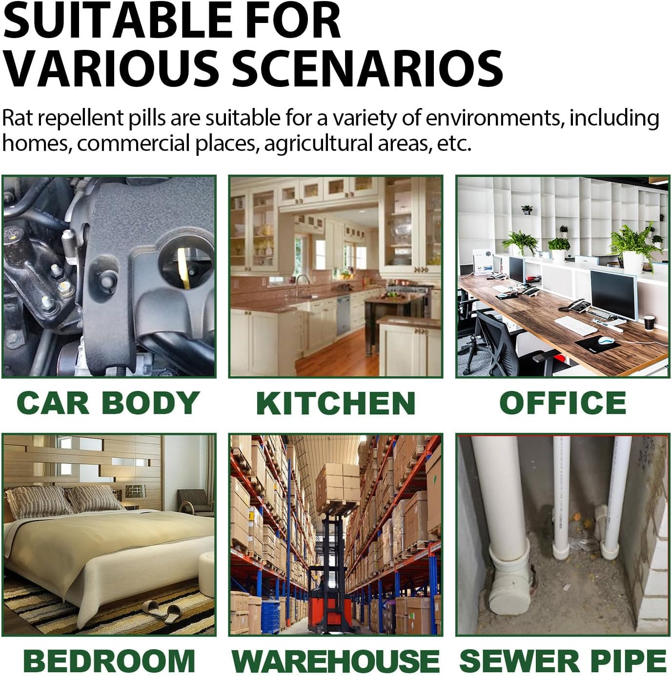 Peppermint Rodent Repellent,Dog and Cat Safe Mouse Repeller, Pest Control for Mice and Rats- Indoor and Outdoor Use - Long-Lasting Protection image number 5