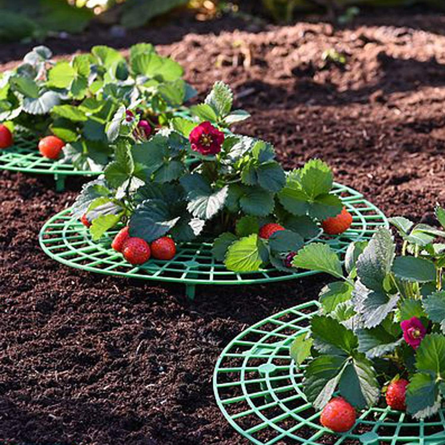 Medoore 5 Pack Strawberry Supports, Adjustable Strawberry Growing Racks Plant Climbing Rack Vine Pillar Garden Stand Balcony Vegetable Rack for Keeping Fruit Elevated to Avoid Ground Rot image number 5