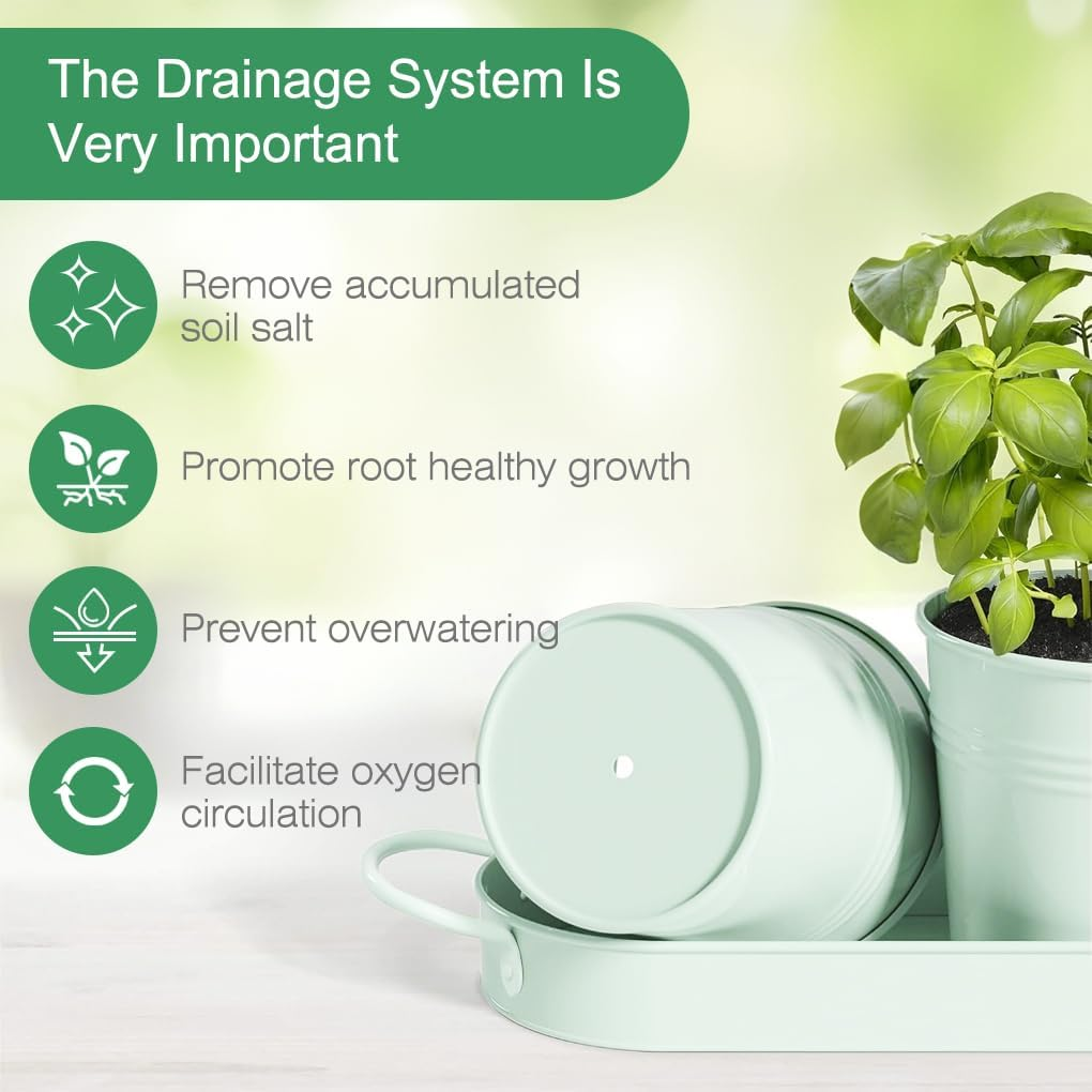 Springup 3 Pack Indoor Herb Garden Planter Set with Tray, Metal Farmhouse Windowsill Plant Pots with Drainage for Outdoor or Indoor Plants (Soft Mint) image number 4