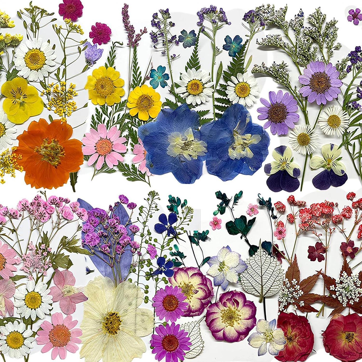 REGODI 96Pcs（8 Sheets） Dried Pressed Flowers & Leaves for Crafts - Natural Dry Flowers for Resin Art, DIY Jewelry, Candle & Soap Molds, Phone Case Decor (Pressed Flowers, Dried Flowers Crafts) image number 4