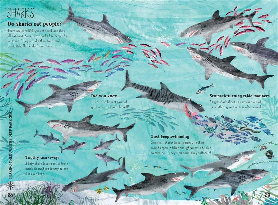 The Big Book of the Blue: the Big Book of Blue: 0