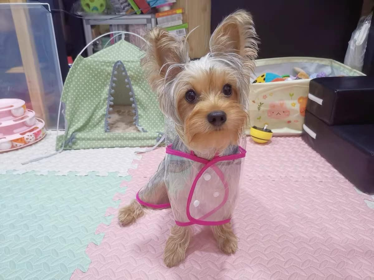 Pet Raincoatsmall Dog Waterproof Puppy Raincoat Coat Transparent Pet Dog Rainwear Clothes for Small Dogs/Cats(M White) image number 4
