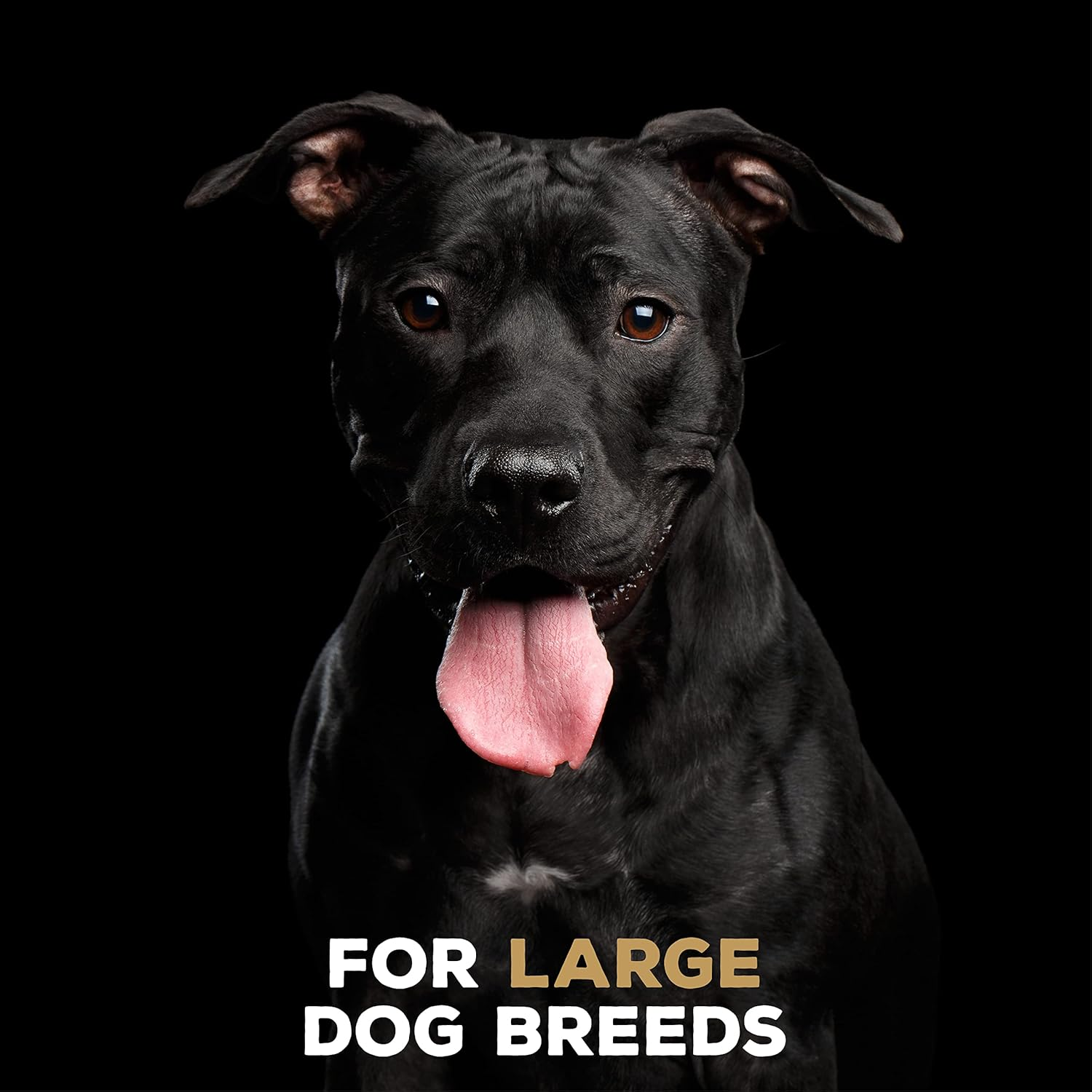 Tasty Bone Nylon Peanut Butter Dog Chew Toy Bone Large image number 3