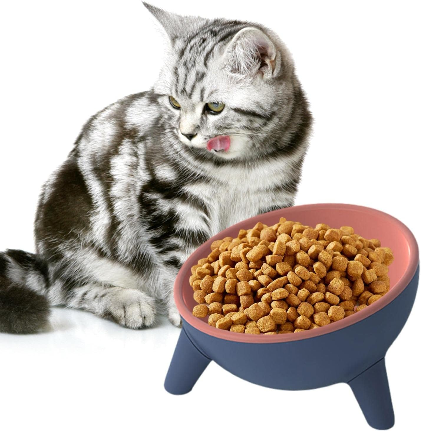 Elevated Cat Bowls - Dog Water Bowls - Pet Bowl Shallow Cat Water Bowl to Stress Relief of Whisker Fatigue, Dog Bowl Cat Feeding Wide Bowls for Puppy Cats Small Animals (Color : Red)