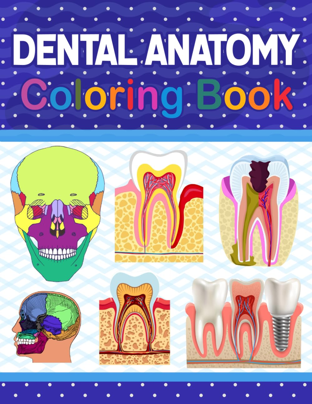 Dental Anatomy Coloring Book: Tooth Anatomy Coloring Work Book for Medical and Nursing Students. Children'S Science Books. Dental Anatomy Coloring ... Dental Assisting & Hygienist Coloring Book image number 1